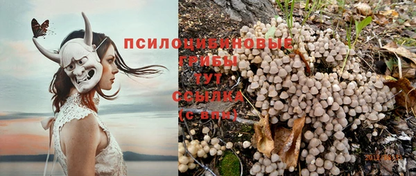 ALPHA PVP Переславль-Залесский