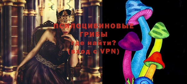 ALPHA PVP Переславль-Залесский